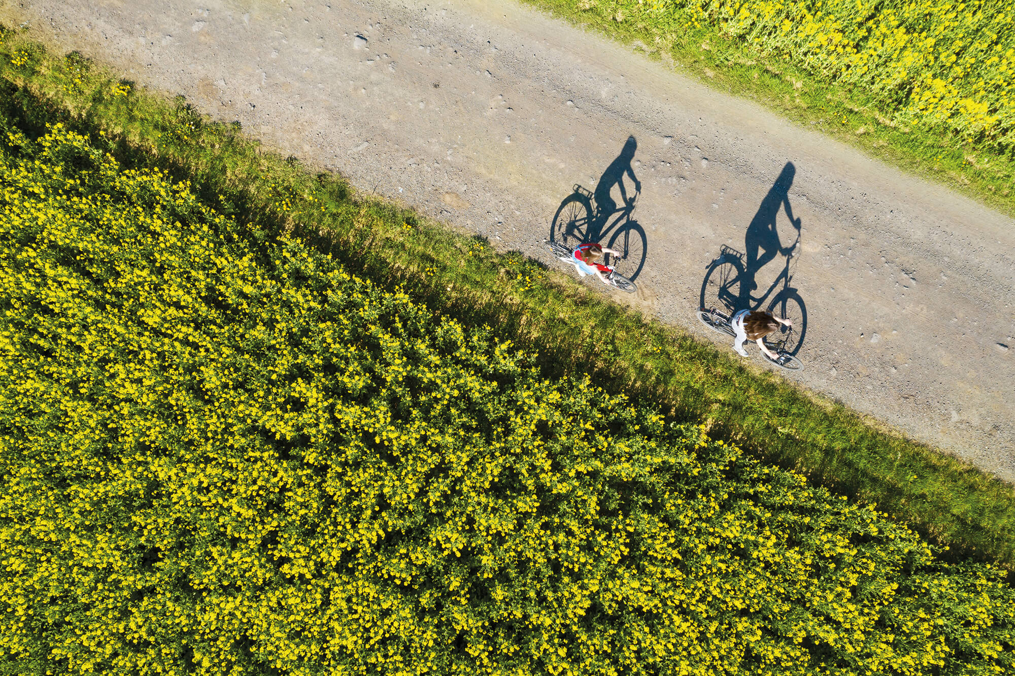 The Pensions Team Provident Financial Staff Pension Scheme